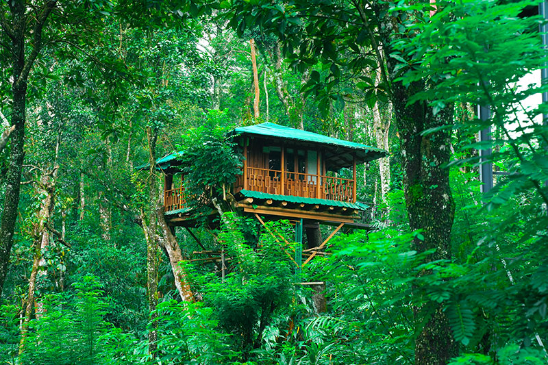Google Ads Helped Dreachter Resort Dominate Digital Marketing